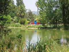 183 D35 PARC OLBIUS RIQUIER A HYERES_000017